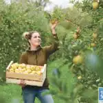 Mélissandre Contour, à la tête de l'enseigne Magapomme