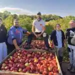 L'équipe de Magapomme