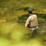 la Fédération de la Pêche multiplie les actions pour valoriser les milieux aquatiques.