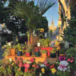 La jardinerie urbaine Madaé est une adresse incontournable pour tous ceux qui souhaitent verdir leur quotidien