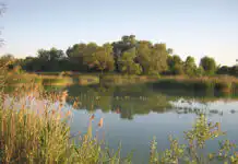 Pour l’ouverture de la pêche à la truite, la Fédération de Pêche de Côte-d'Or se mobilise fortement
