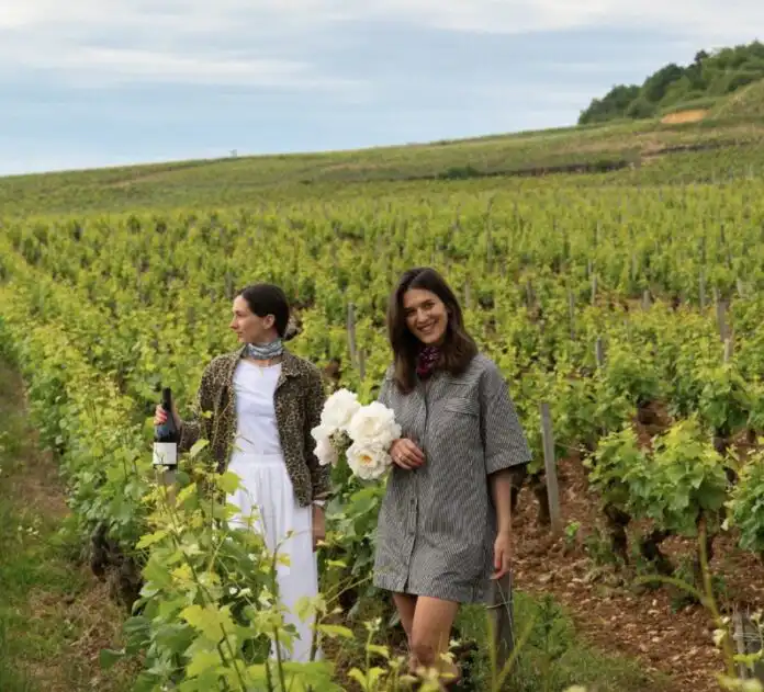 Chez Bellevigne Bourgogne, l’expérience se partage et se décline à travers une offre riche entre bien-être et moments de convivialité