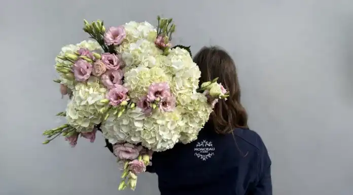 Des bouquets colorés et de saison signés Monceau Fleurs