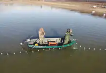 Les techniciens de la Fédération de Pêche de Côte-d’Or sont mobilisés pour une pêche de décompression d’envergure sur le lac de Panthier