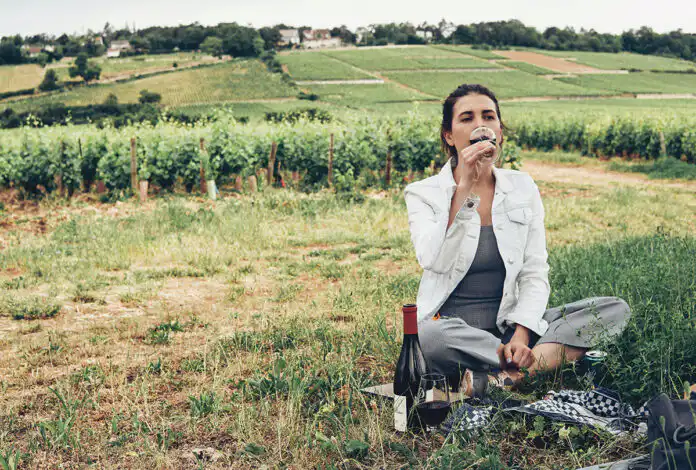 Marche-gourmande-Rotary Une balade au cœur des vignes, des étapes gourmandes et une belle cause : le Rotary Club Dijon Téméraire voit les choses en grand