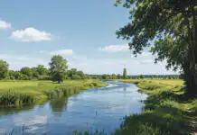 Fédération de Pêche : Réparer les rivières, préserver la nature Les équipes de la Fédération de Pêche de Côte-d’Or interviennent sur les cours d’eau pour restaurer les milieux aquatiques et préserver la biodiversité