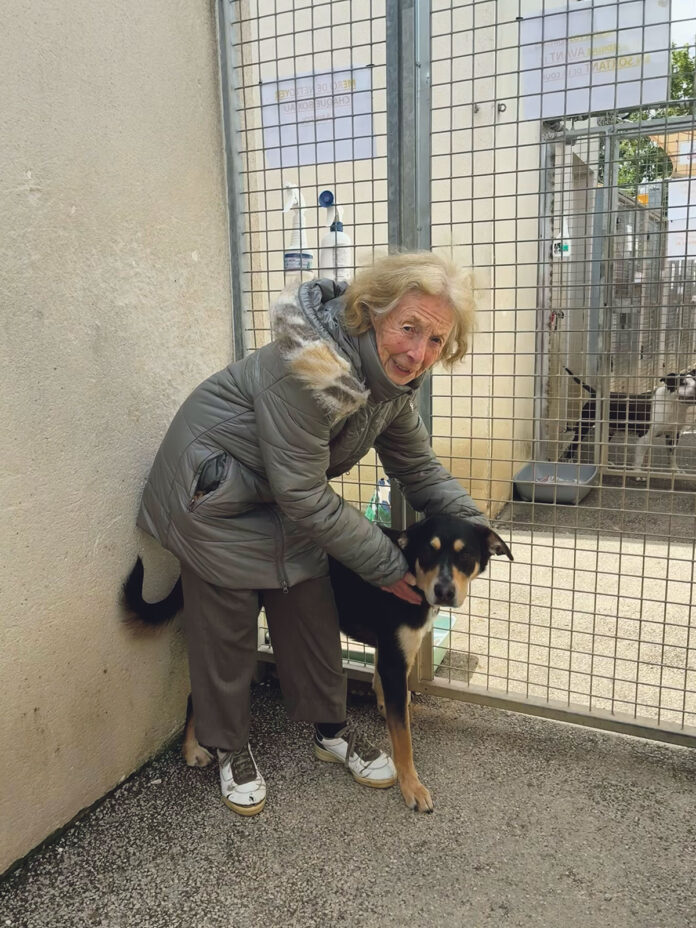 Genevieve Geneviève, bénévole depuis 23 ans aux cotés de Luigi, disponible à l’adoption